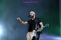 The Script (49)